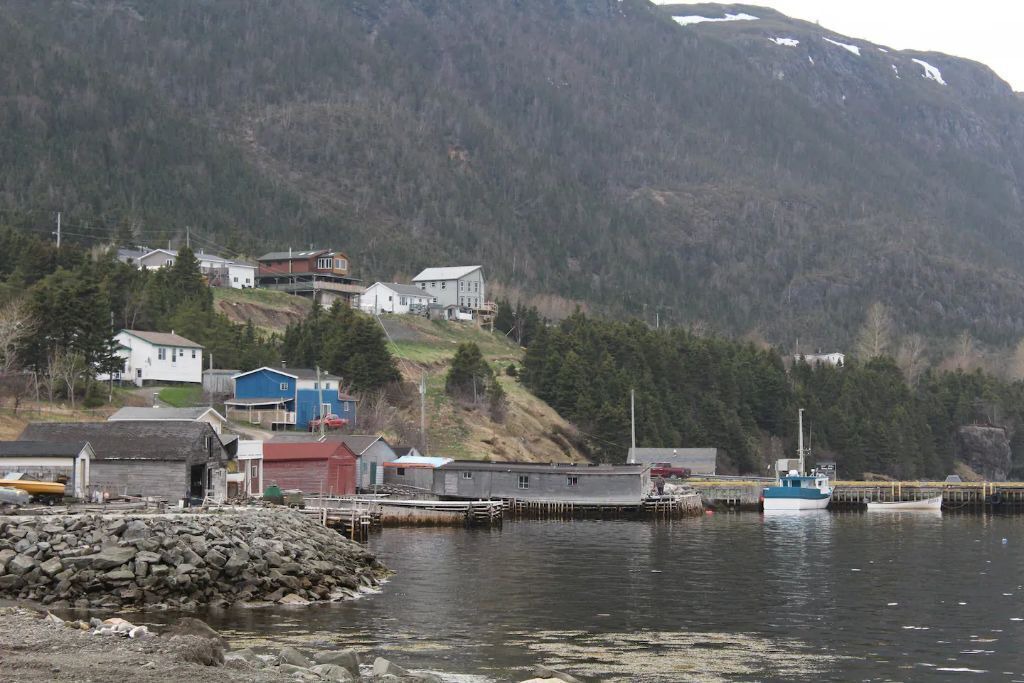 Photo of Others in Woody Point