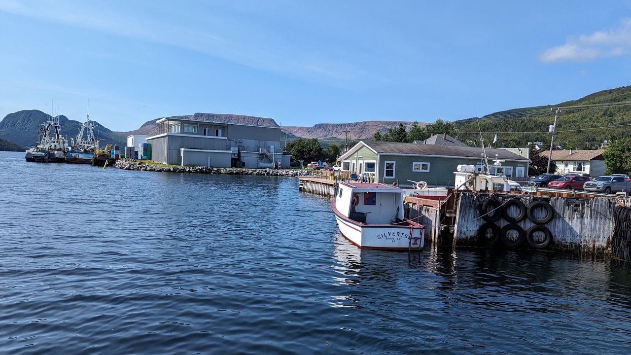 Photo of Others in Woody Point