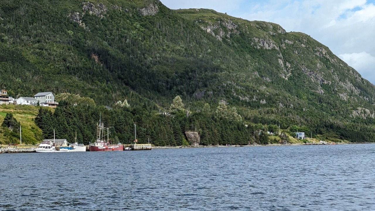 Photo of Others in Woody Point