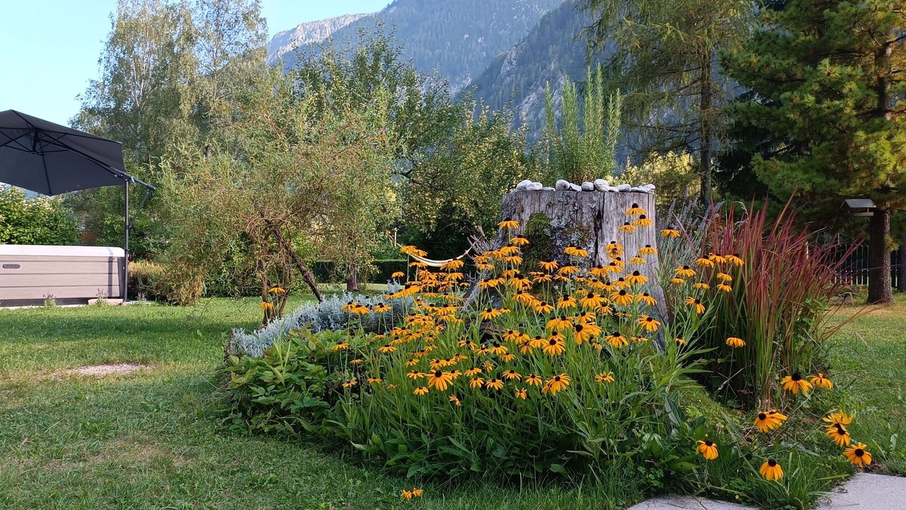 Photo of Outdoor in Gozd Martuljek