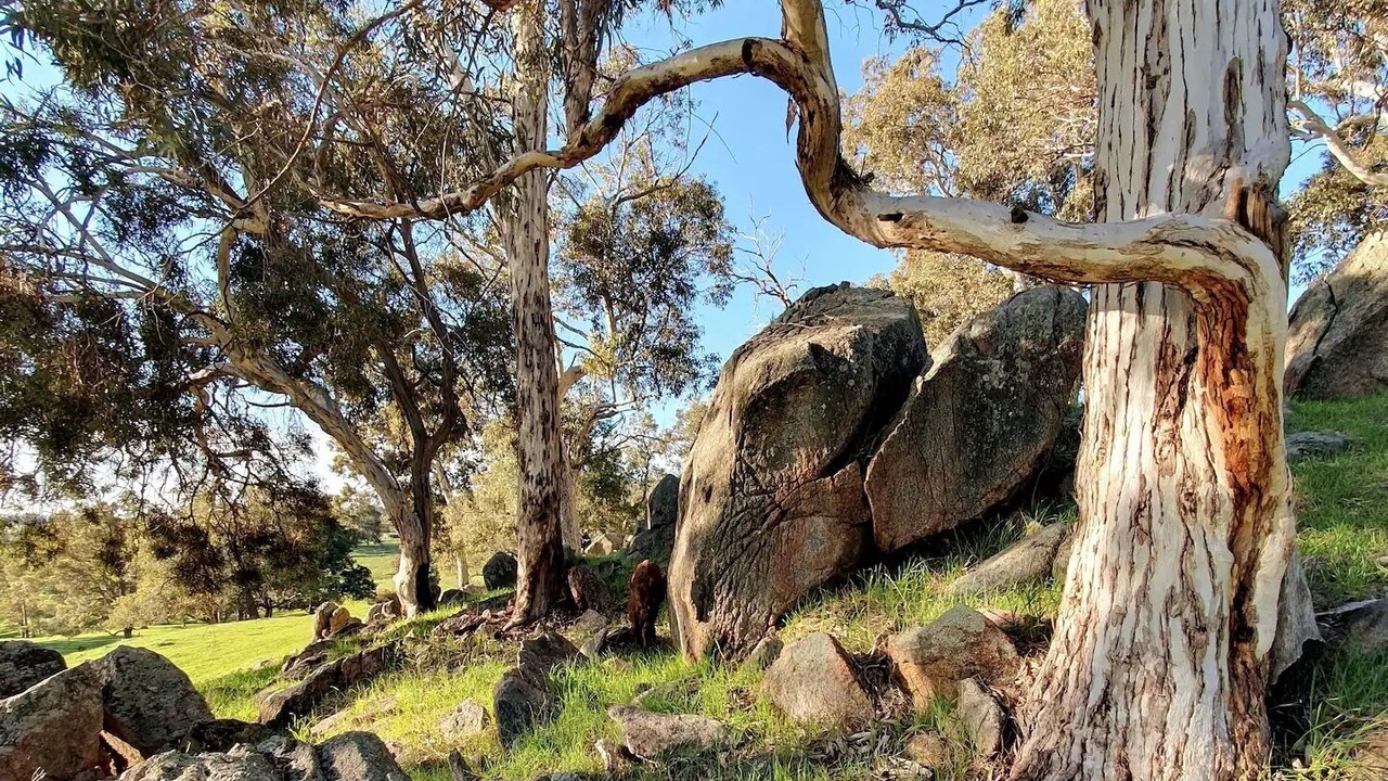 Photo of Others in Meelon