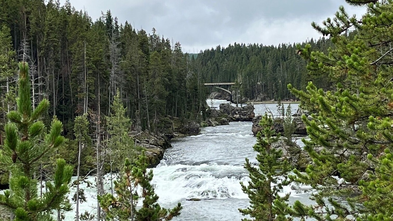 Photo of Others in McKellar