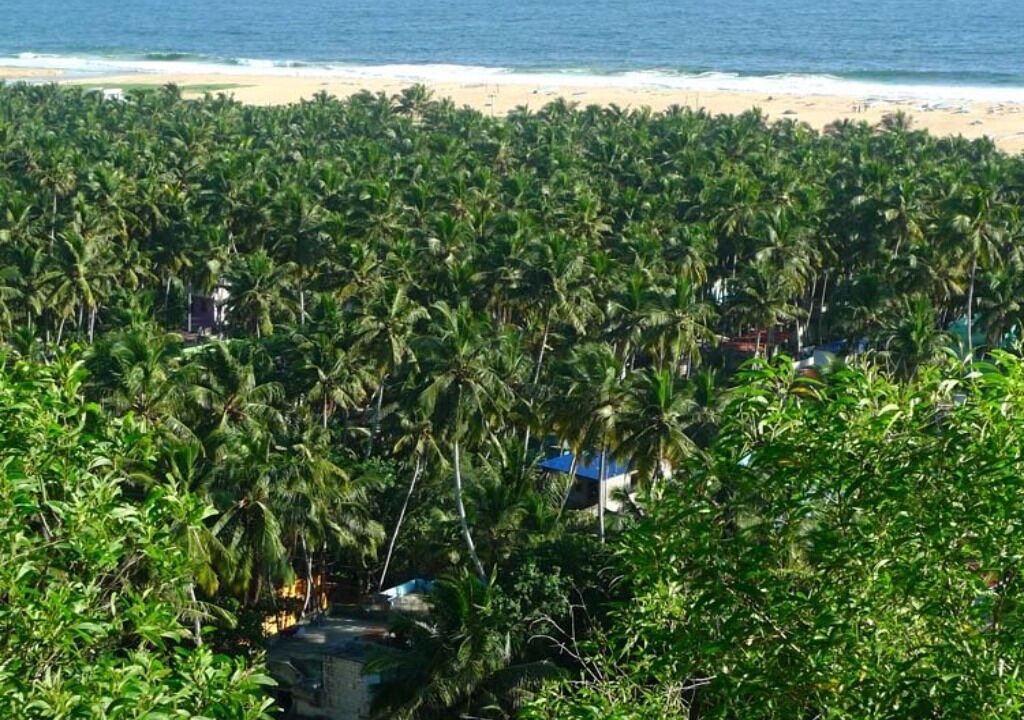 Photo of Others in Poovar