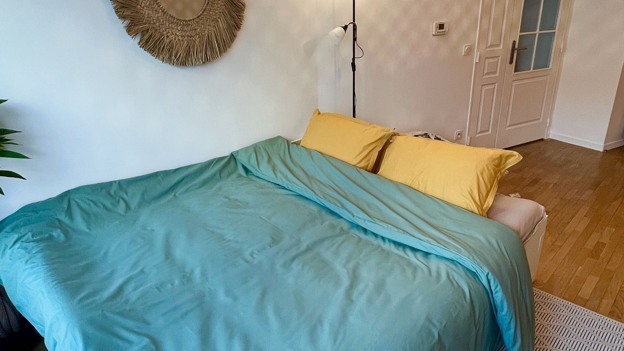 Photo of Bedroom in Montrouge