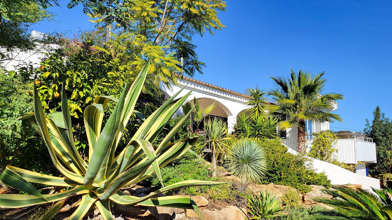 Photo of Outdoor in Ariolos