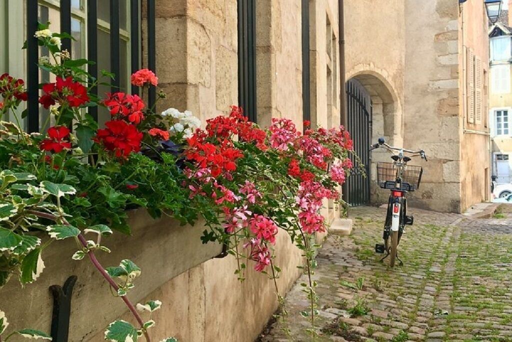 Photo of Outdoor in Combertault