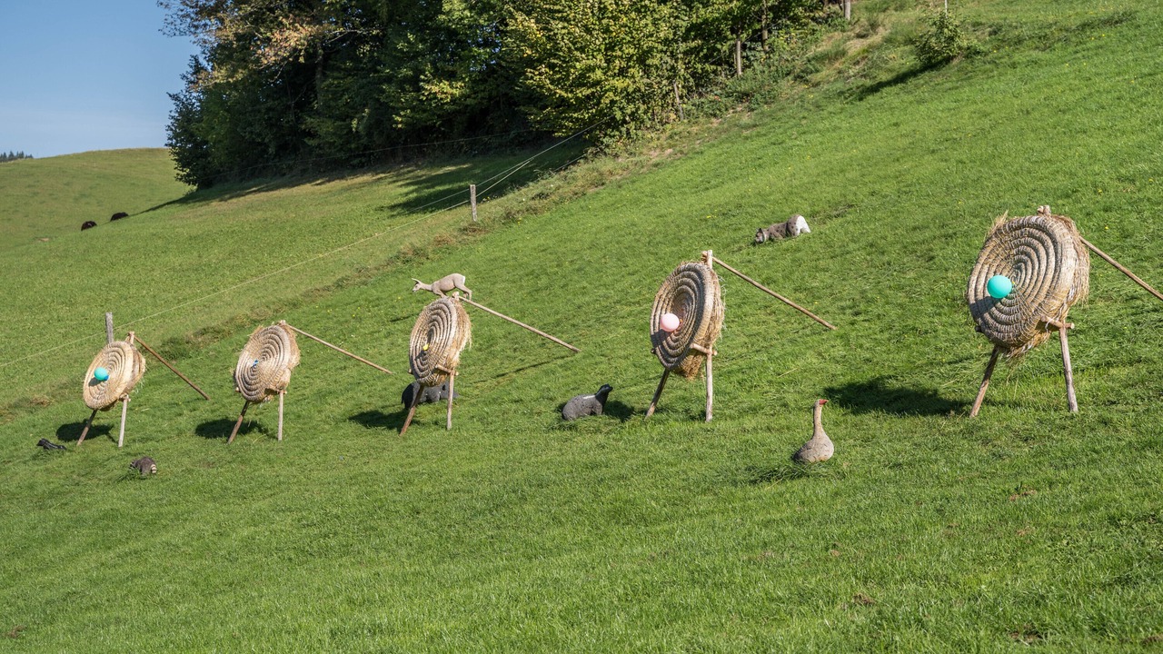 Photo of Outdoor in Muehlenbach
