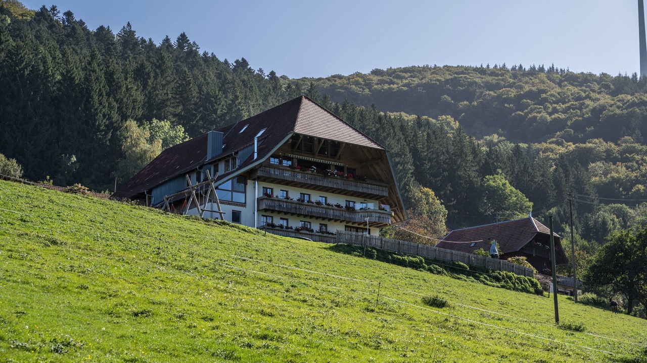 Photo of Outdoor in Muehlenbach