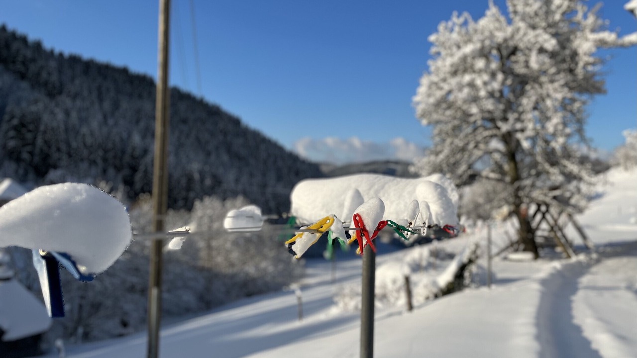 Photo of Others in Muehlenbach