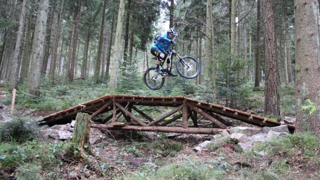 Photo of Others in Sasbachwalden