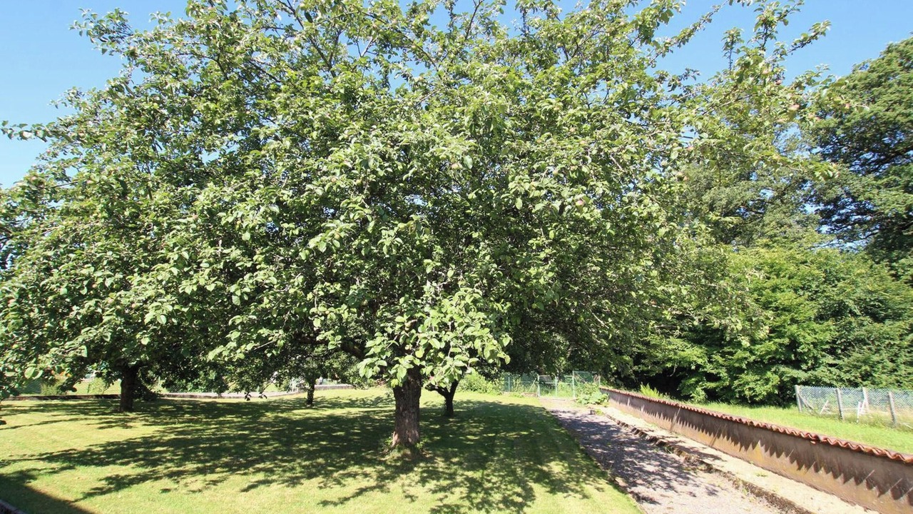 Photo of Outdoor in Champagney
