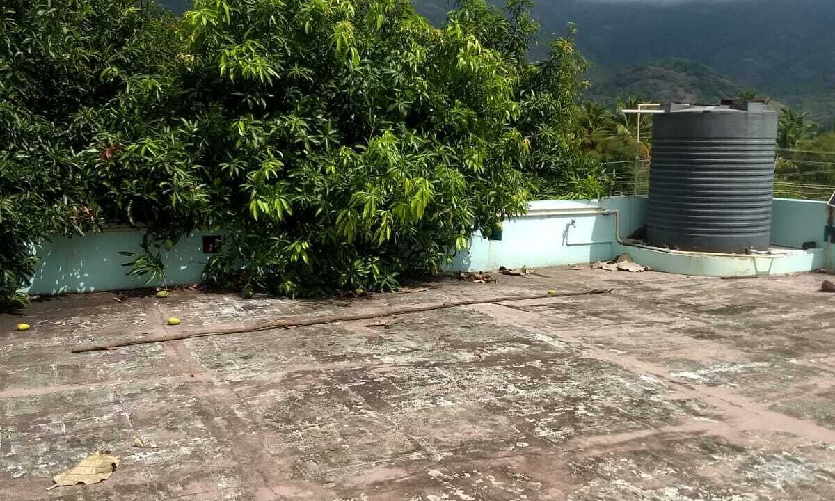 Photo of Outdoor in Thekkady