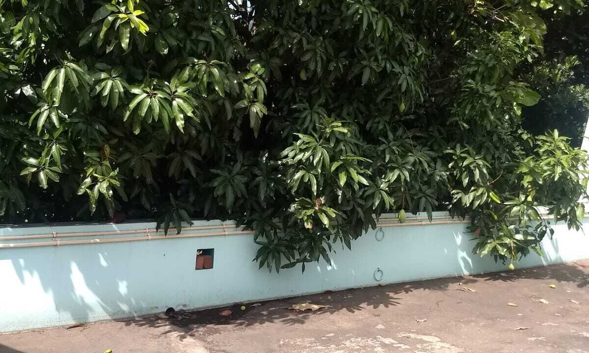 Photo of Outdoor in Thekkady