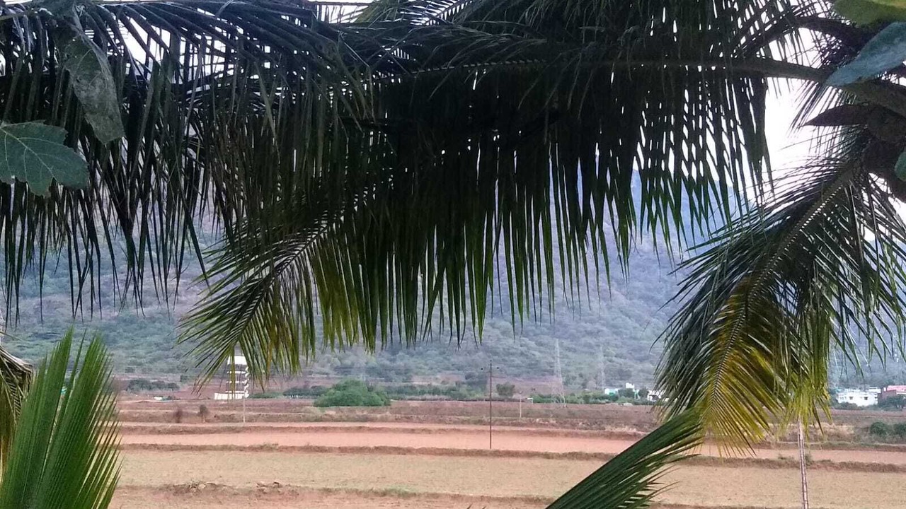 Photo of Others in Thekkady