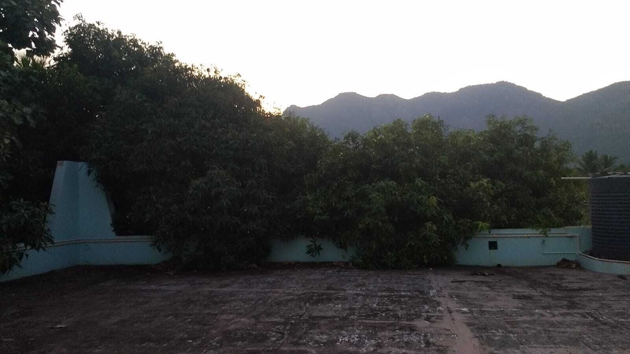 Photo of Outdoor in Thekkady