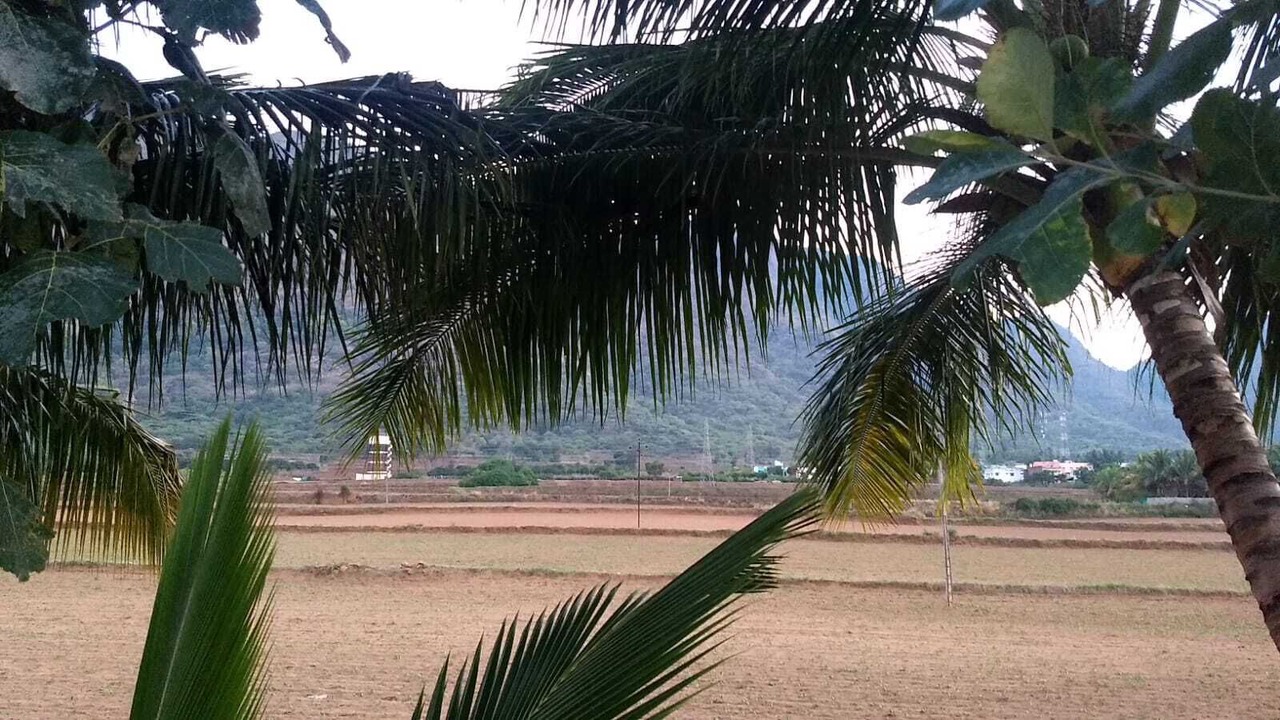 Photo of Outdoor in Thekkady
