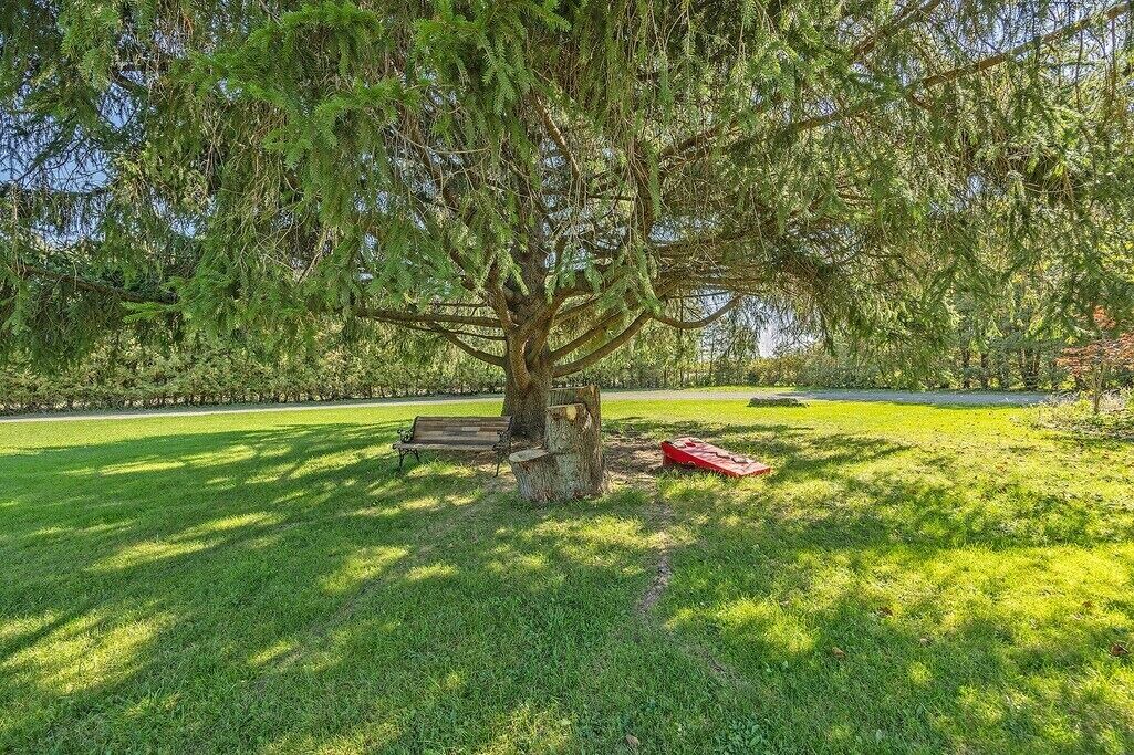 Photo of Outdoor in London