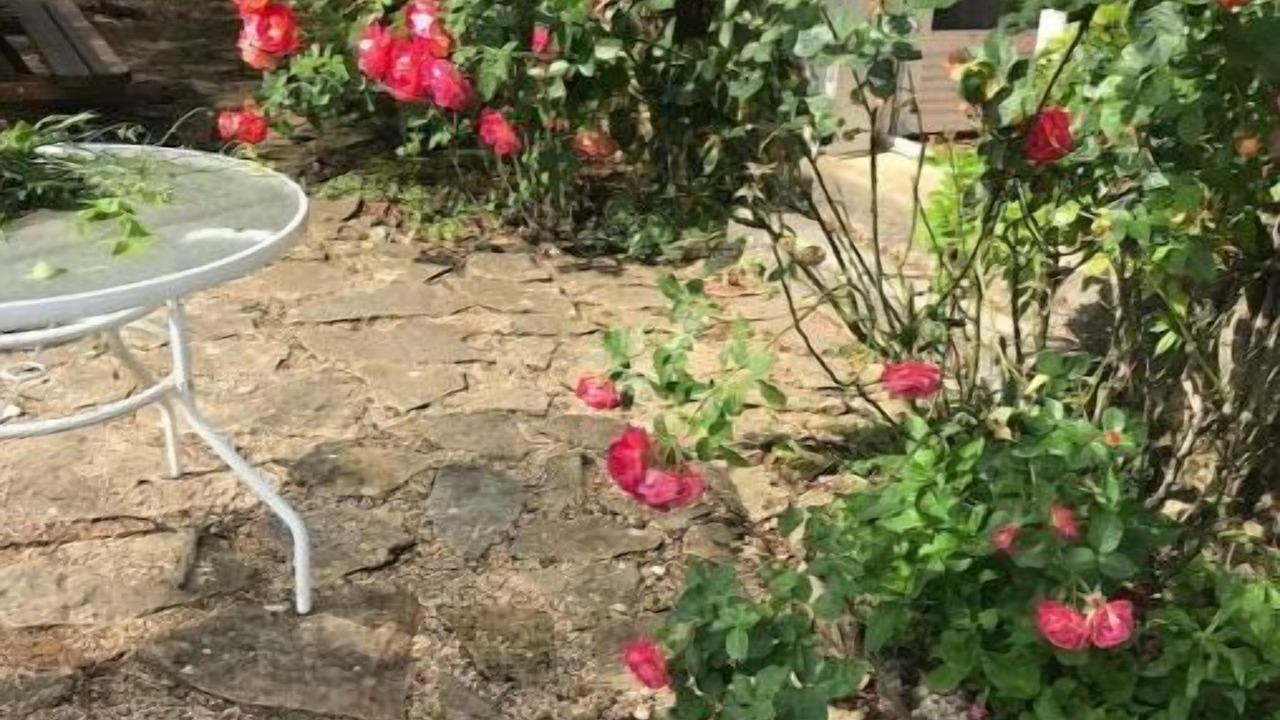 Photo of Patio Balcony in Charnay