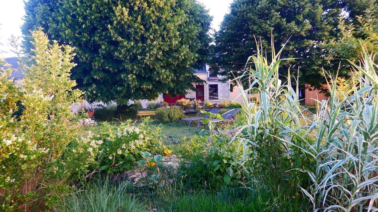 Photo of Outdoor in Monthou-sur-Cher