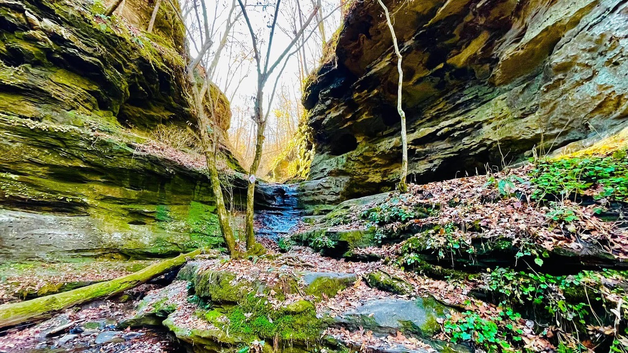 Photo of Outdoor in Carbondale