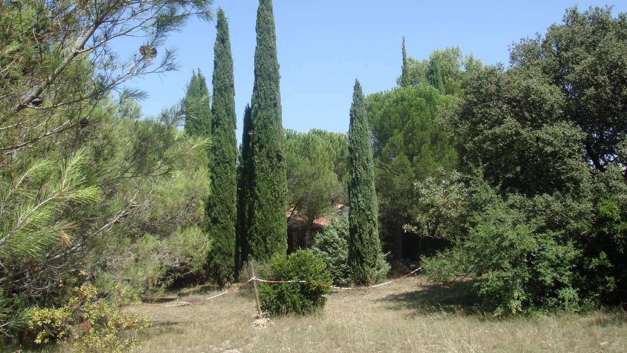 Photo of Outdoor in Venejan