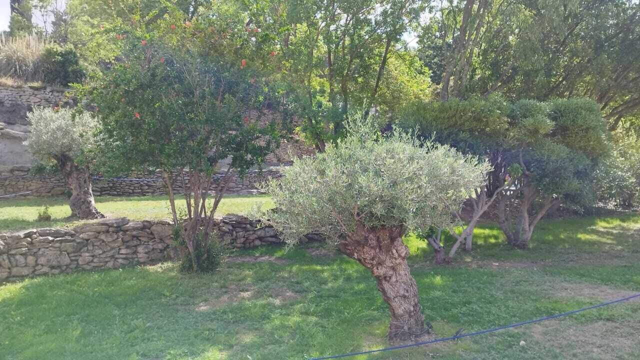 Photo of Outdoor in Cornillon-Confoux