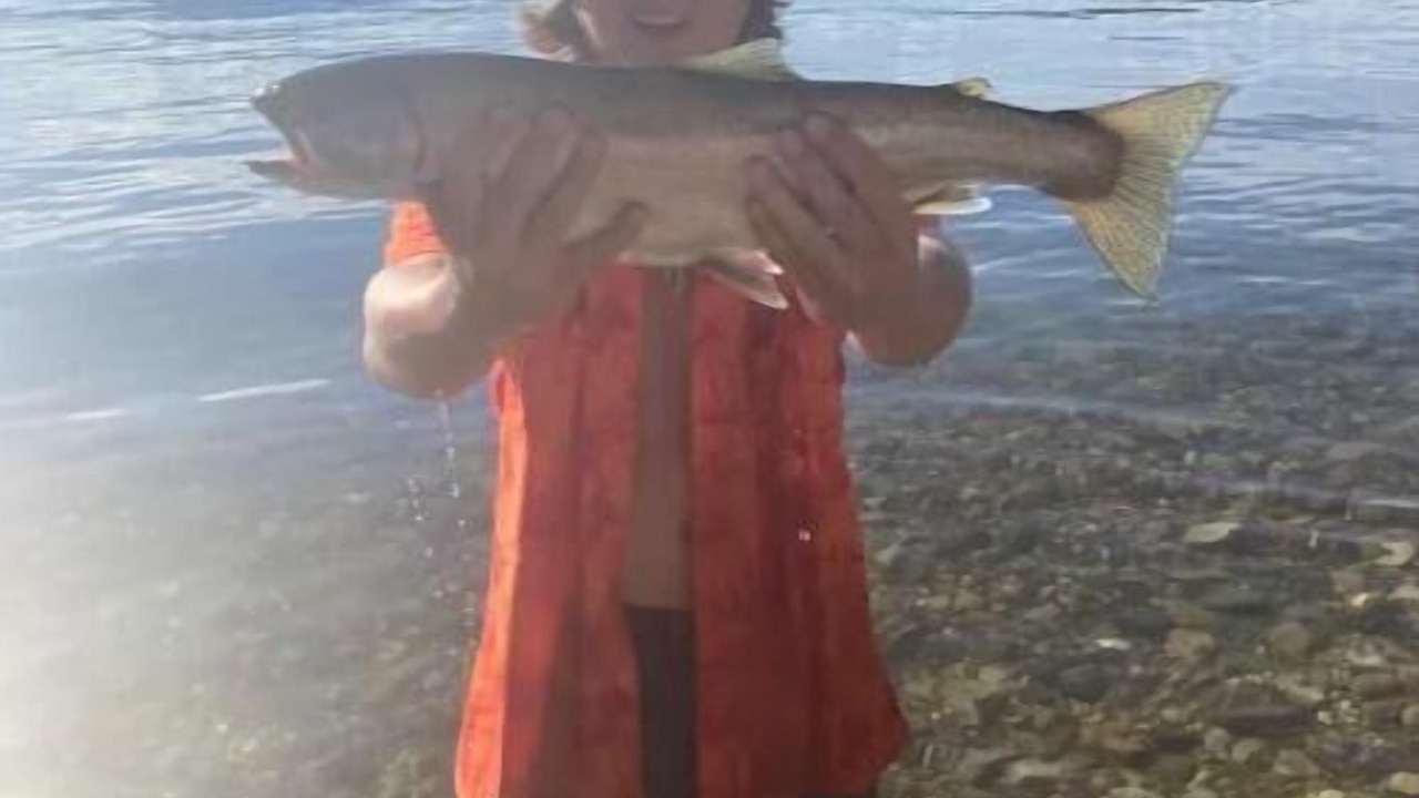 Photo of Others in Gray Creek