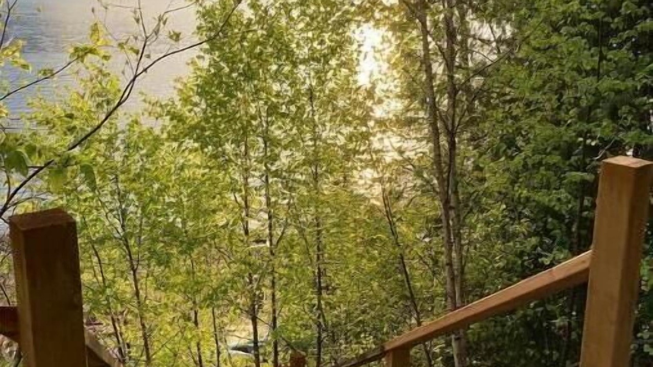 Photo of Outdoor in Gray Creek