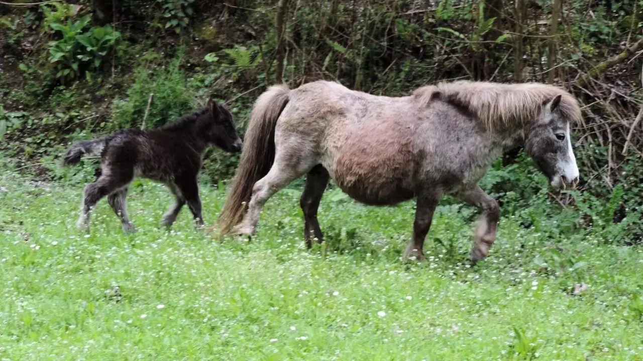 Photo of Others in Cahagnolles
