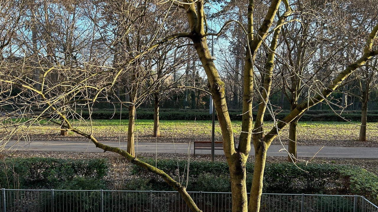 Photo of Outdoor in 6th Arrondissement
