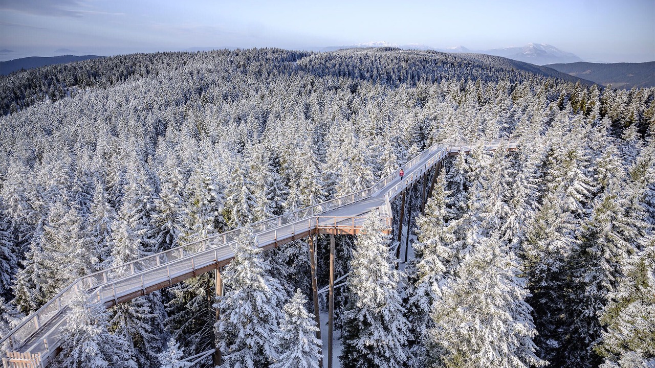 Photo of Others in Hocko Pohorje