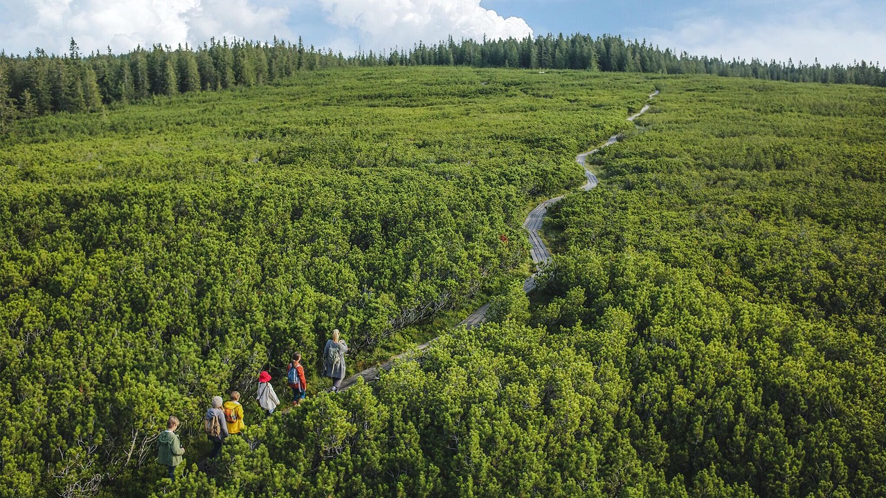 Photo of Others in Hocko Pohorje
