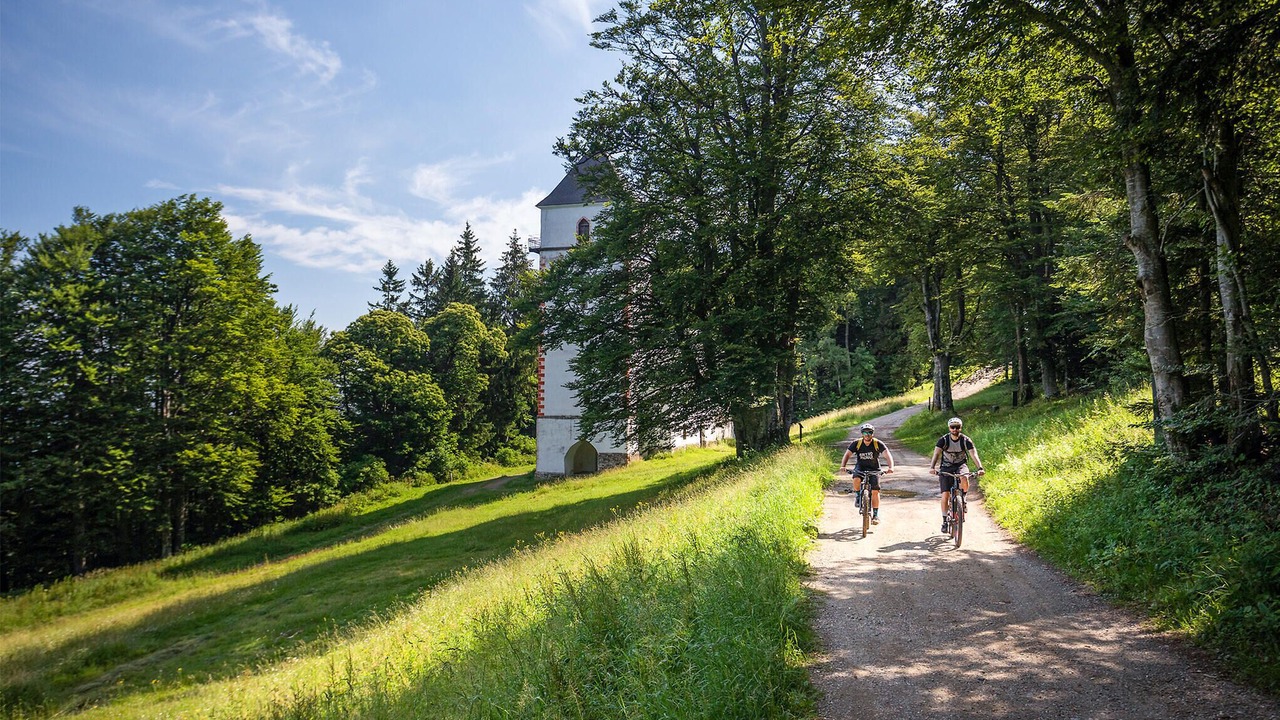 Photo of Others in Hocko Pohorje