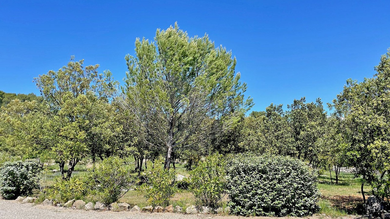 Photo of Outdoor in Entrecasteaux