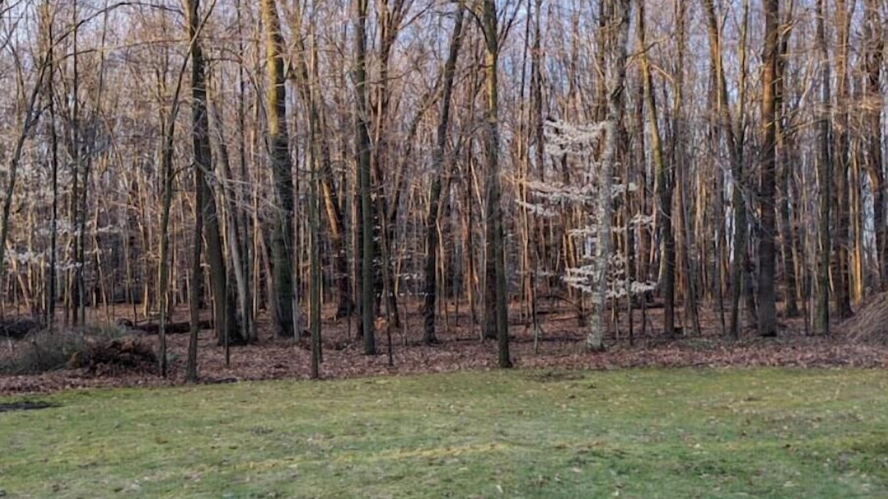 Photo of Outdoor in Birch Run Township