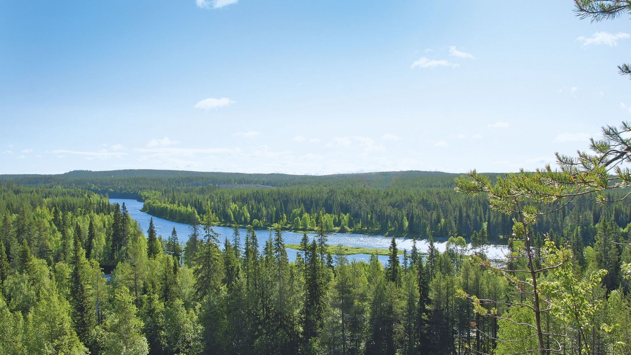 Photo of Outdoor in Taivalkoski