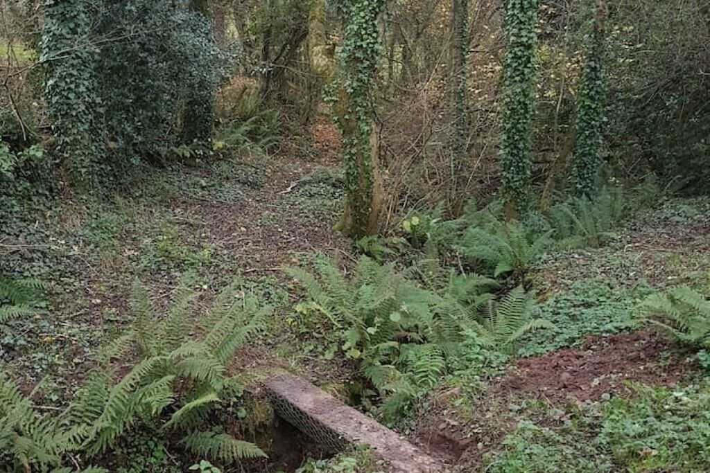 Photo of Outdoor in Usk