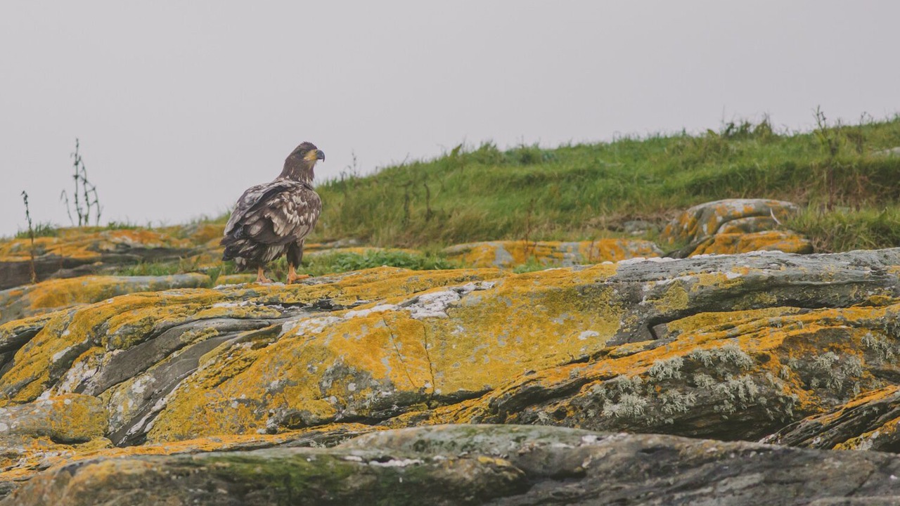 Photo of Others in Tighnabruaich