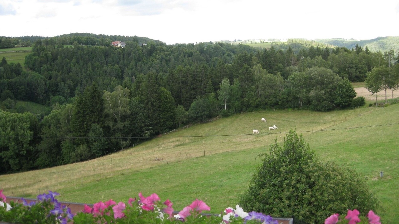 Photo of Outdoor in Wittenschwand