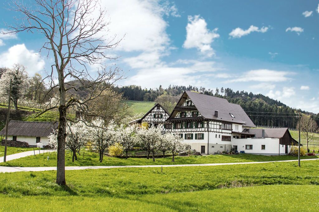 Photo of Outdoor in Oberkirch