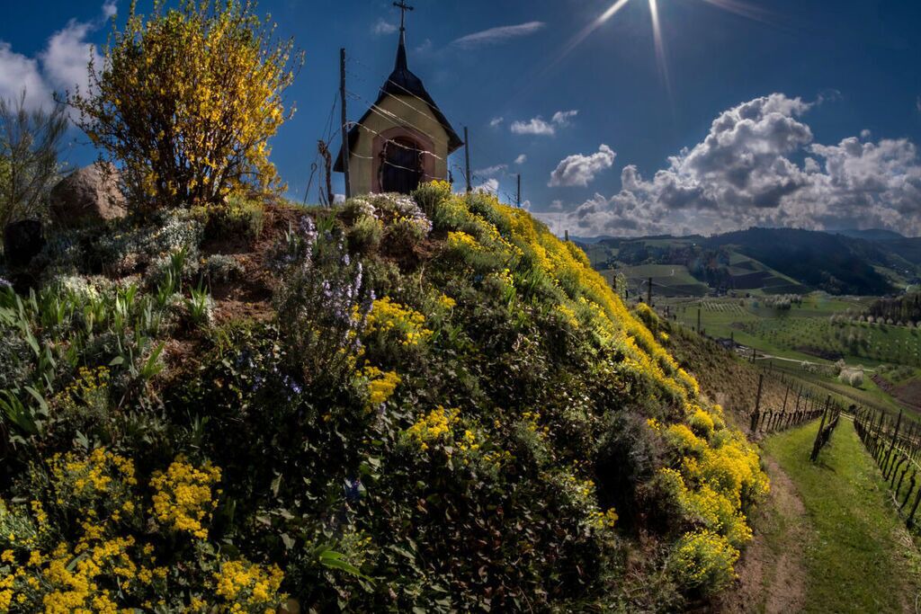 Photo of Outdoor in Oberkirch