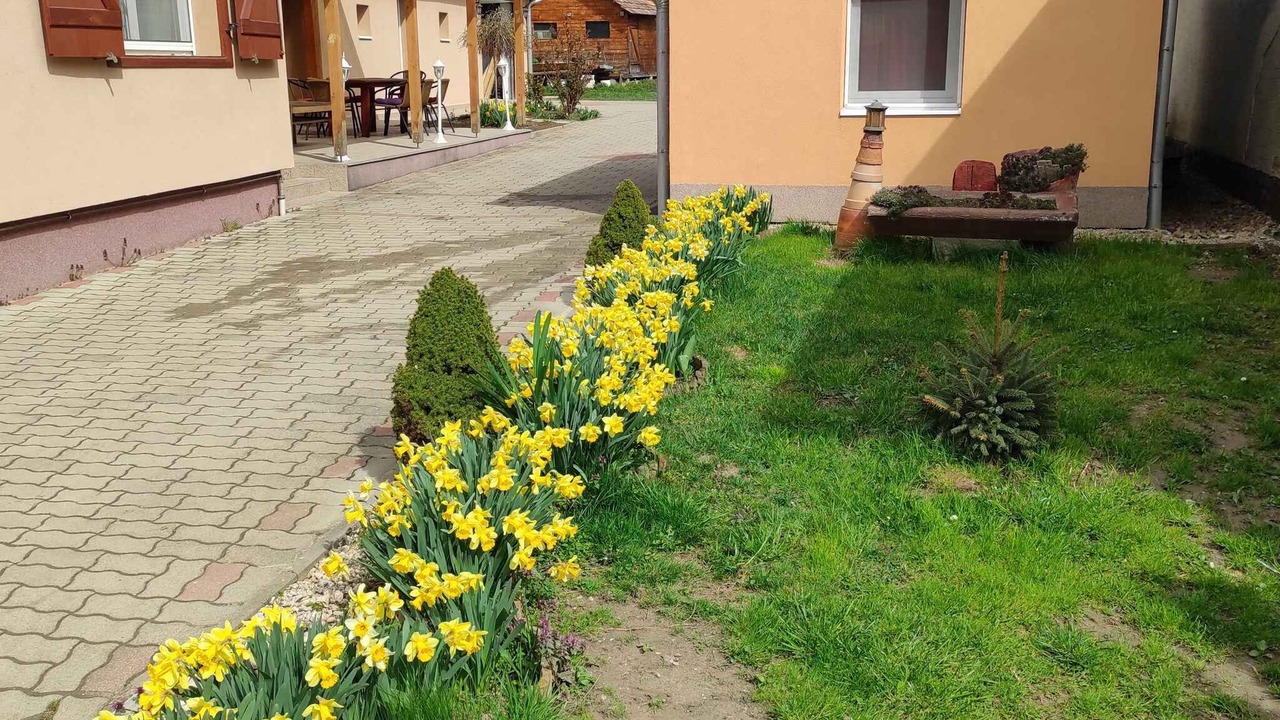 Photo of Outdoor in Kereki