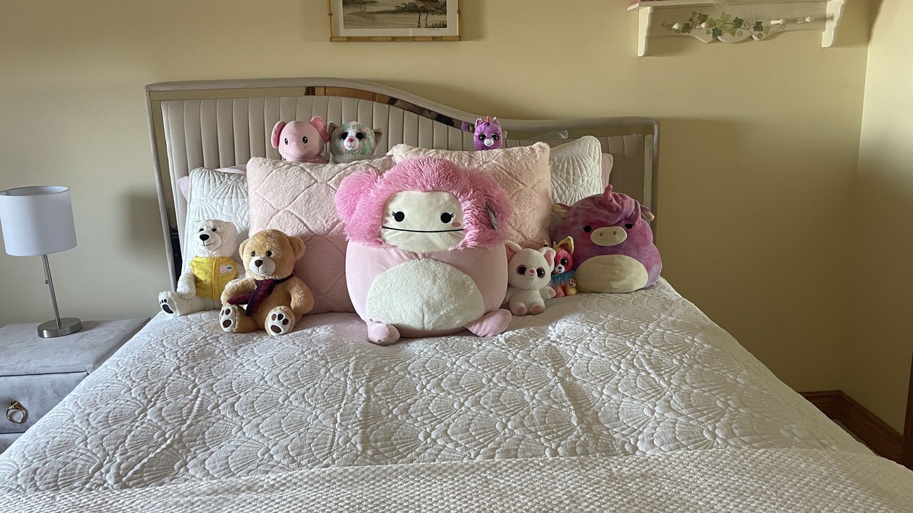 Photo of Bedroom in Selwyn