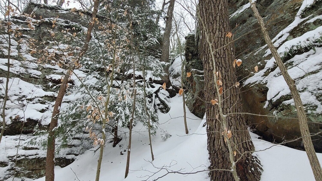 Photo of Outdoor in Rockbridge