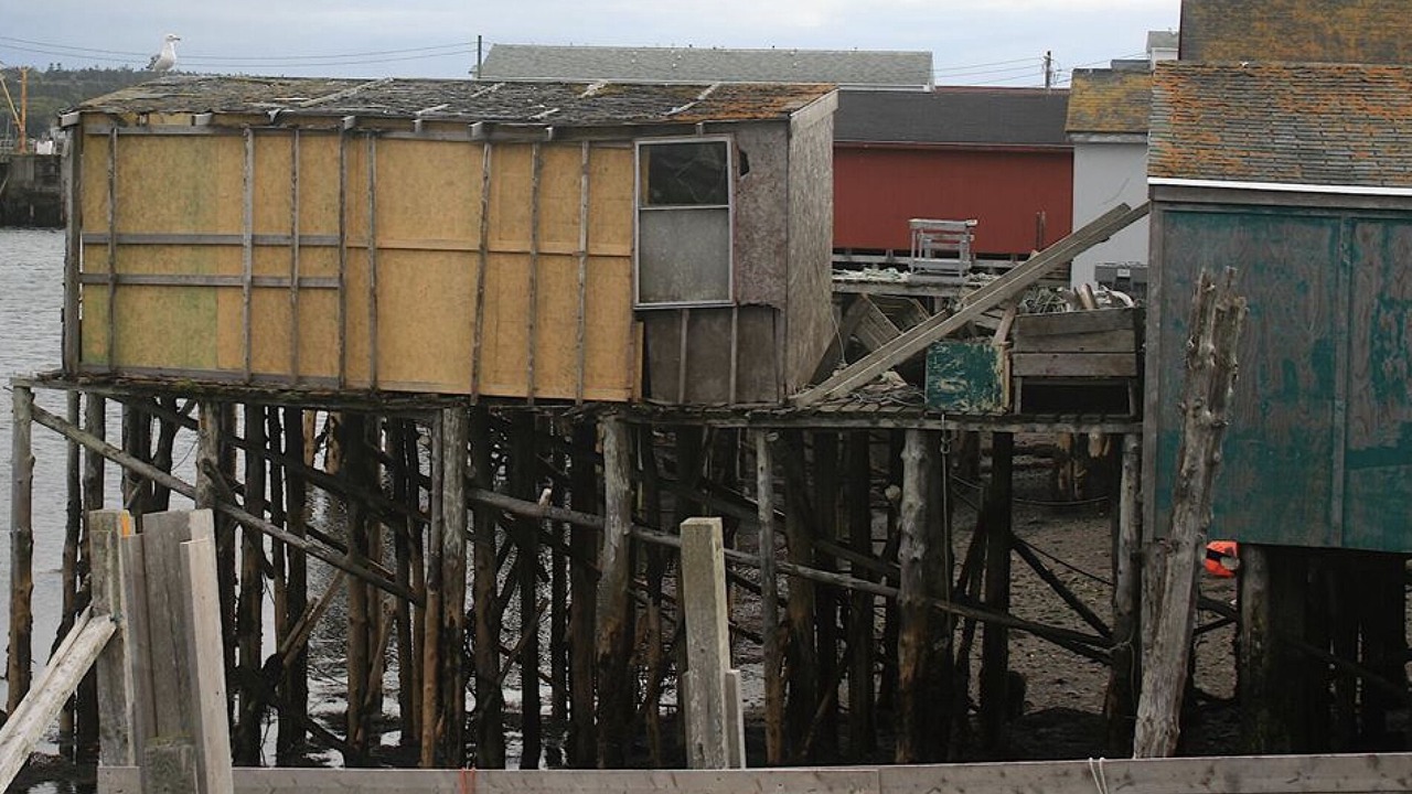 Photo of Others in Freeport