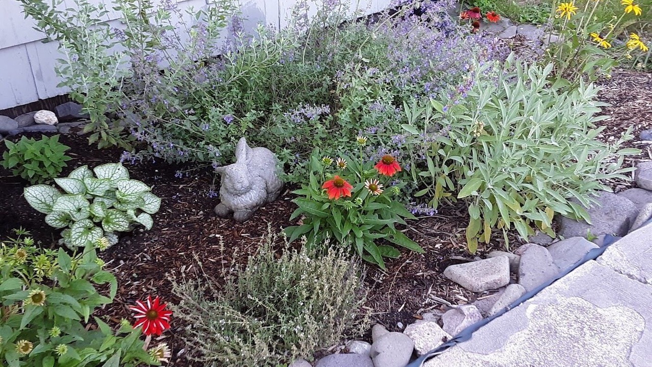 Photo of Outdoor in Freeport