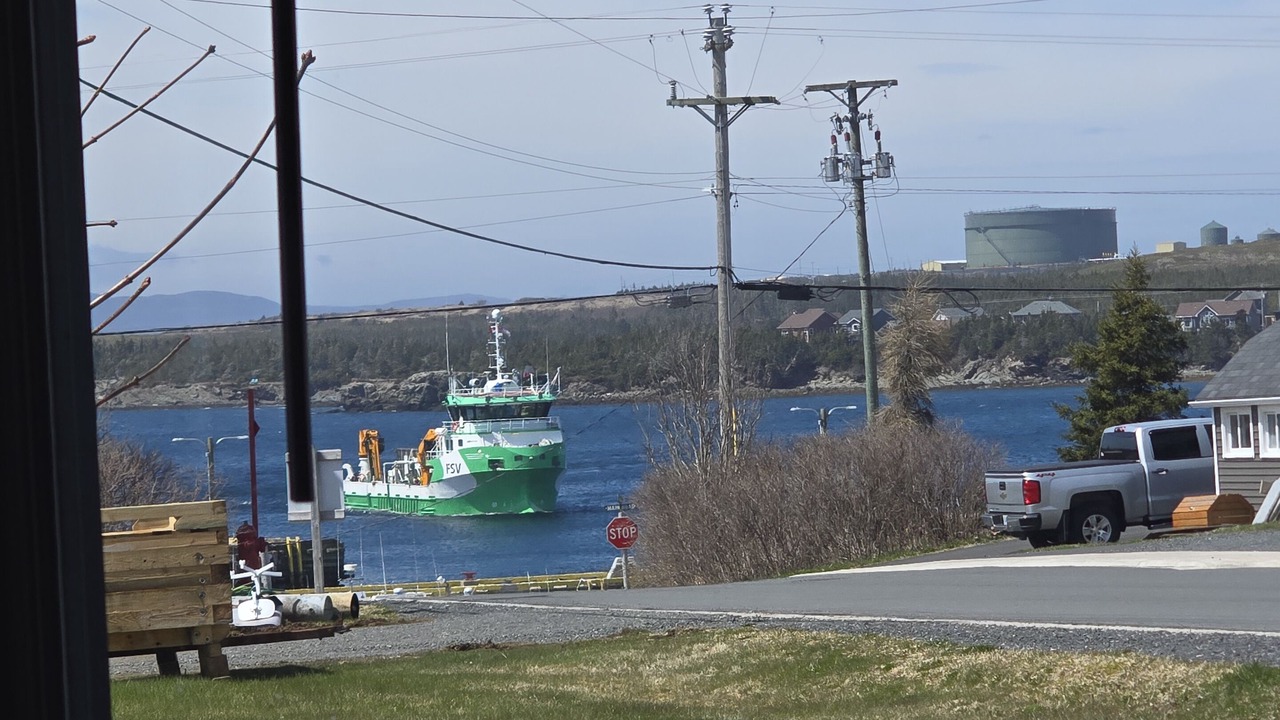 Photo of Others in Arnold's Cove