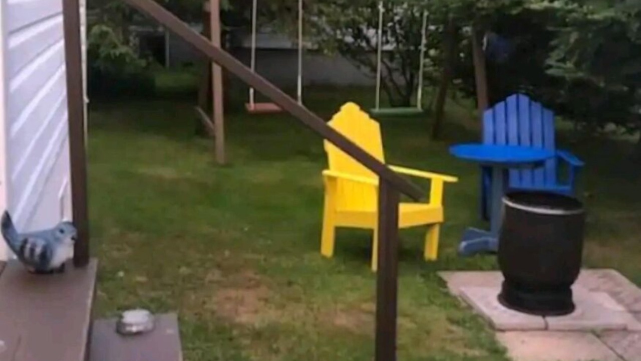 Photo of Outdoor in Arnold's Cove