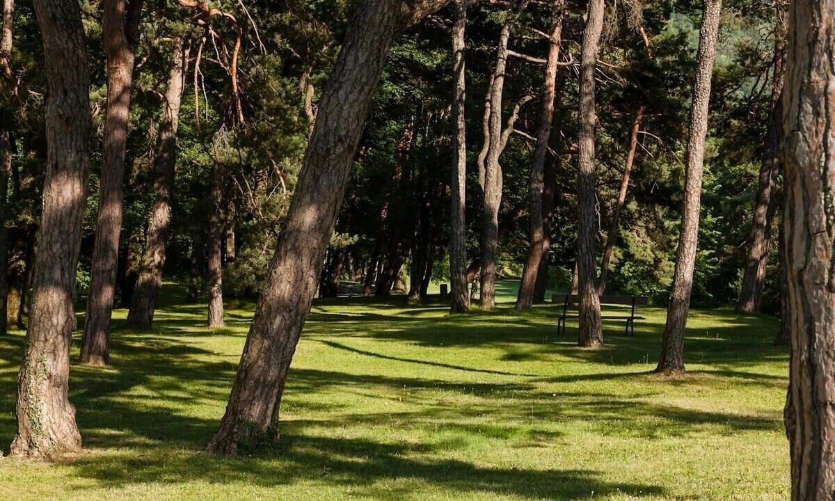 Photo of Outdoor in Lavey-Morcles
