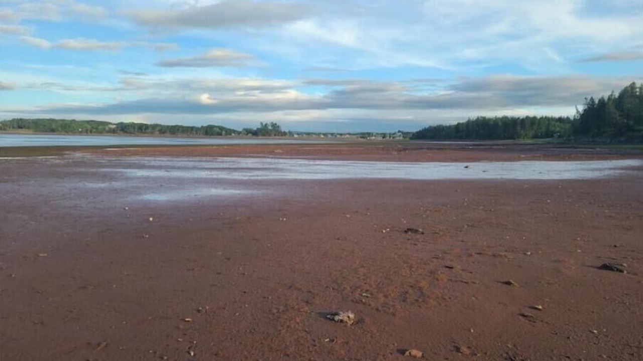 Photo of Others in Tatamagouche